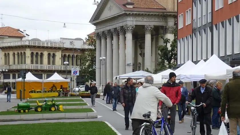 SAN DONA' DI P. - DINO TOMMASELLA - NUOVA SISTEMAZIONE MERCATO KM. ZERO CON LE AIUOLE NUOVE