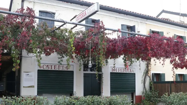 Foto Agenzia Candussi/Baschieri/ Mestre, via Fiume/ Ristorante La Pergola