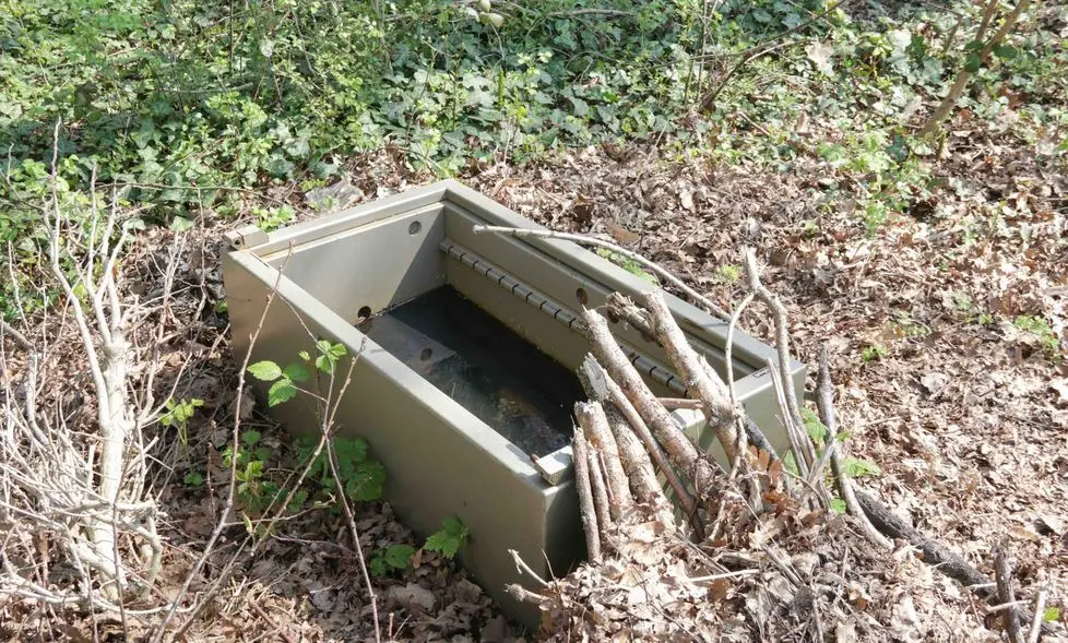 Foto Agenzia Candussi/ Chiarin/ Mestre/ Sopralluogo del quartiere Pertini e dell'adiacente Bosco dell'Osellino