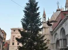 Interpress/M.Tagliapietra Venezia 02.12.2015.- Albero di Natale in piazzetta dei leoncini a San Marco.