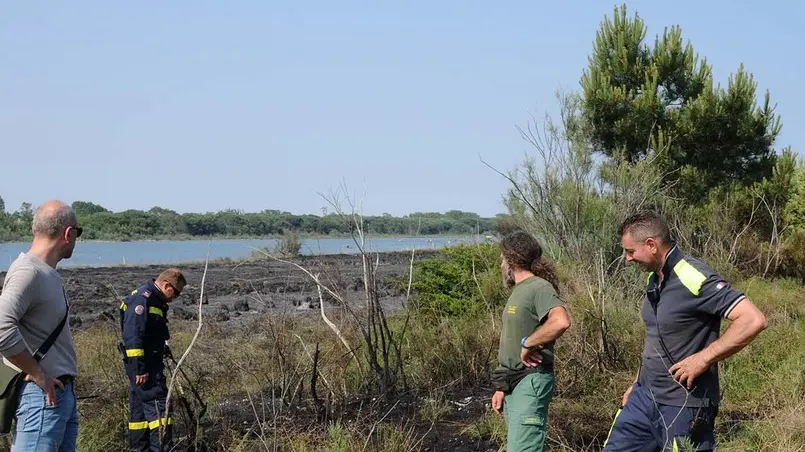 BON - DINO TOMMASELLA - ERACLEA - INCENDIO LAGURAN"MORT" - IL LUOGO DELL'INCENDIO E LE MACCHINE DELLA PROTEZIONE CIVILE E FORESTALE.