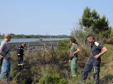 BON - DINO TOMMASELLA - ERACLEA - INCENDIO LAGURAN"MORT" - IL LUOGO DELL'INCENDIO E LE MACCHINE DELLA PROTEZIONE CIVILE E FORESTALE.